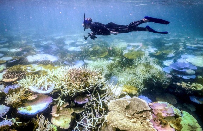 Great Barrier Reef Faces Existential Threat as Ocean Temperatures Reach 400-Year High