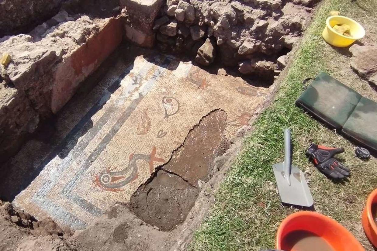 Ancient Mosaic Unearthed in Roman City of Wroxeter