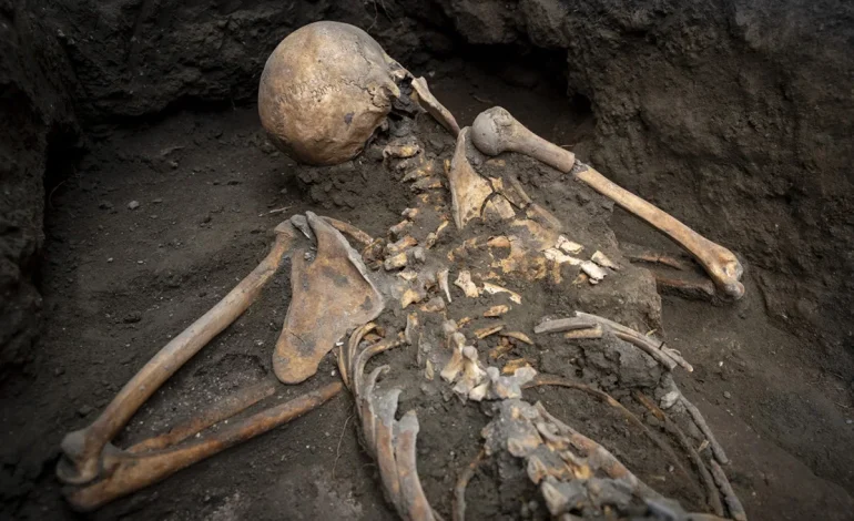 Pompeii Archaeologists Unearth Couple’s Remains and Treasures