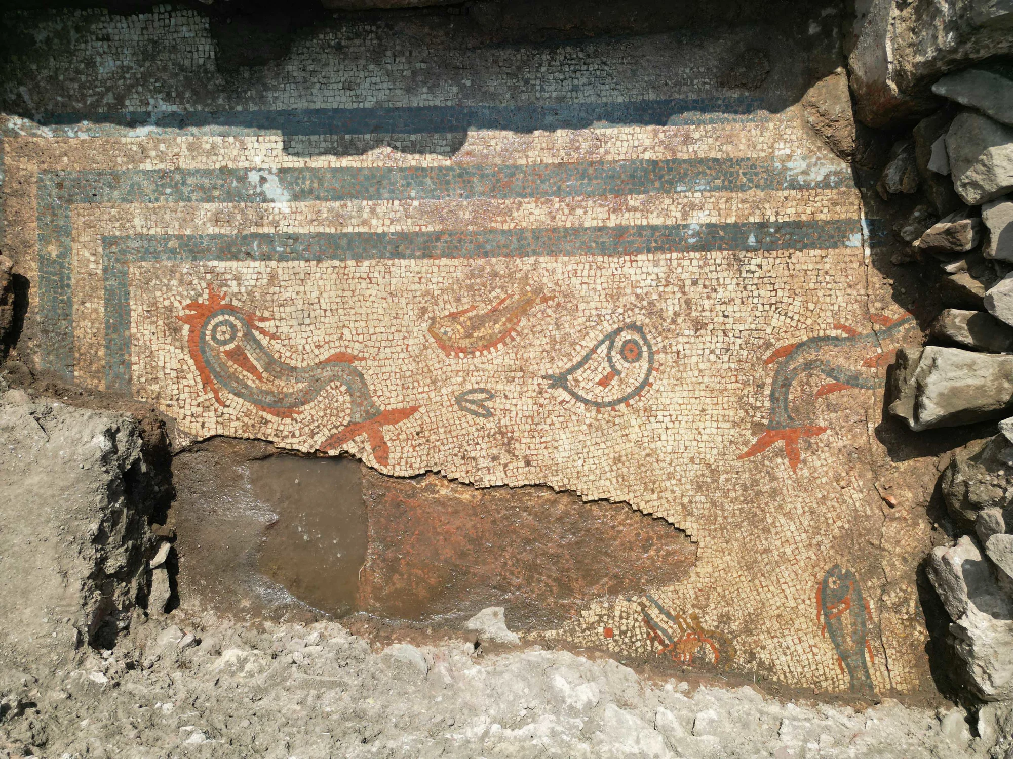 Hidden for Millennia: Well-Preserved Mosaic Uncovered at Roman City in England