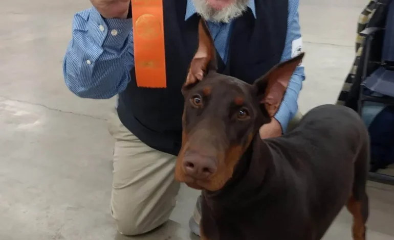 Colorado Man Found Dead, Sheriff Seeks Public’s Help in Locating Missing Doberman Puppies