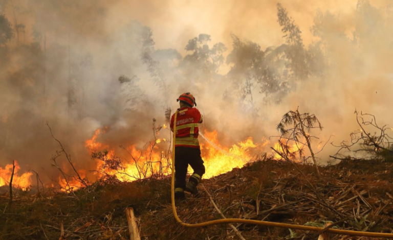 Portugal Declares State of Calamity as Wildfires Ravage Northern Regions