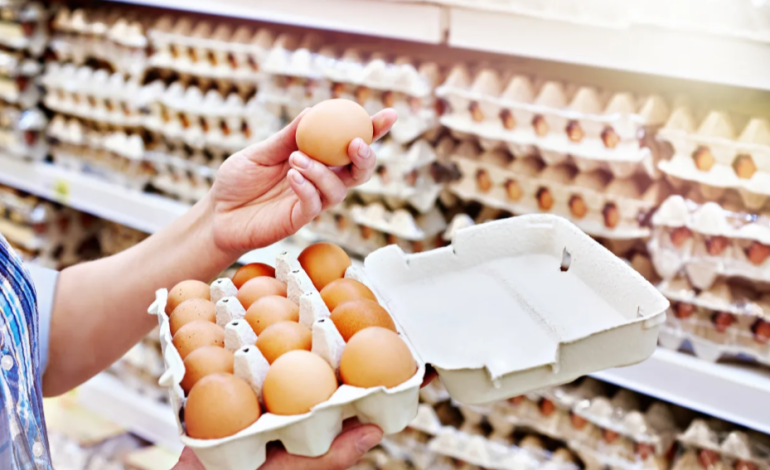 Bird Flu Drives Rising Egg Prices Amid Supply Chain Strain