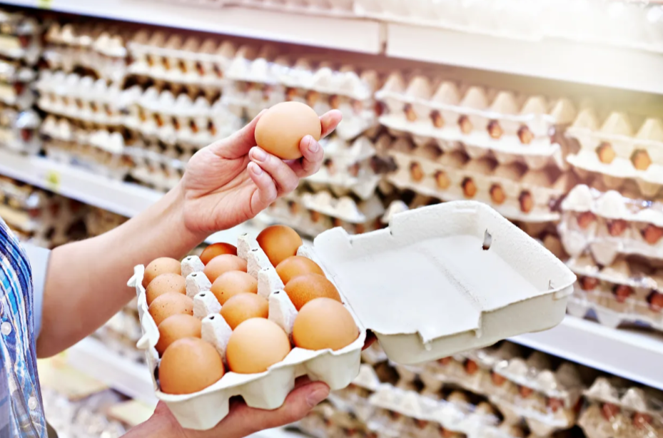 Bird Flu Drives Rising Egg Prices Amid Supply Chain Strain