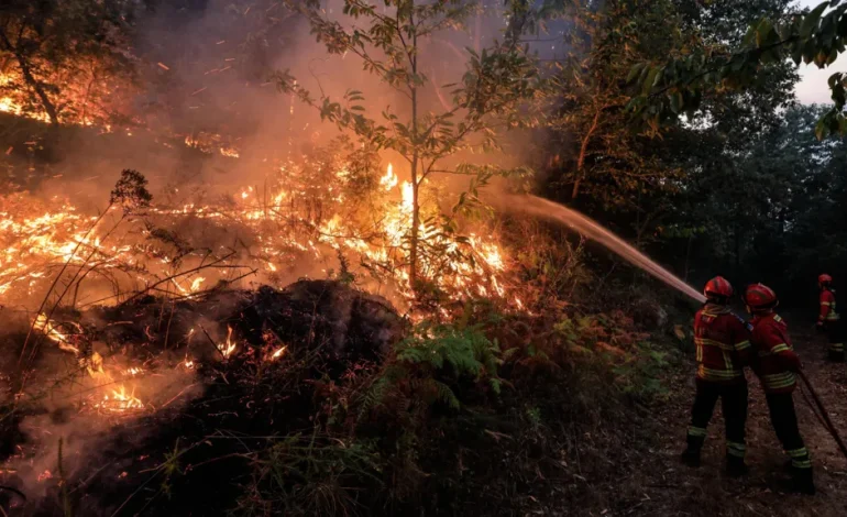 Portugal Faces Severe Wildfire Crisis as Thousands of Firefighters Work to Contain Blazes