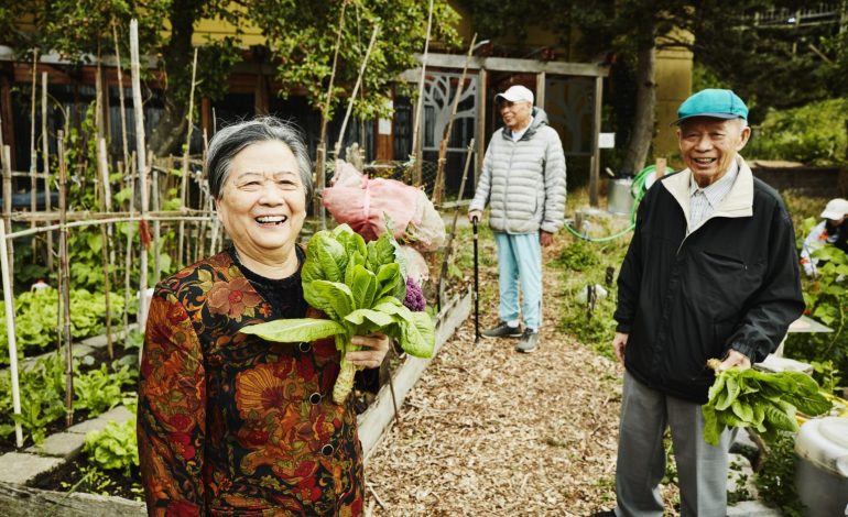 China Reviews Plan to Raise Retirement Age Amid Aging Population Challenges