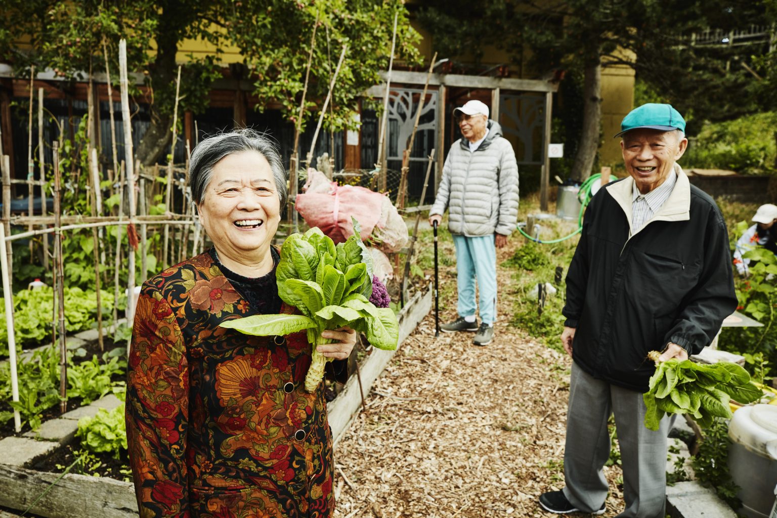 China Reviews Plan to Raise Retirement Age Amid Aging Population Challenges