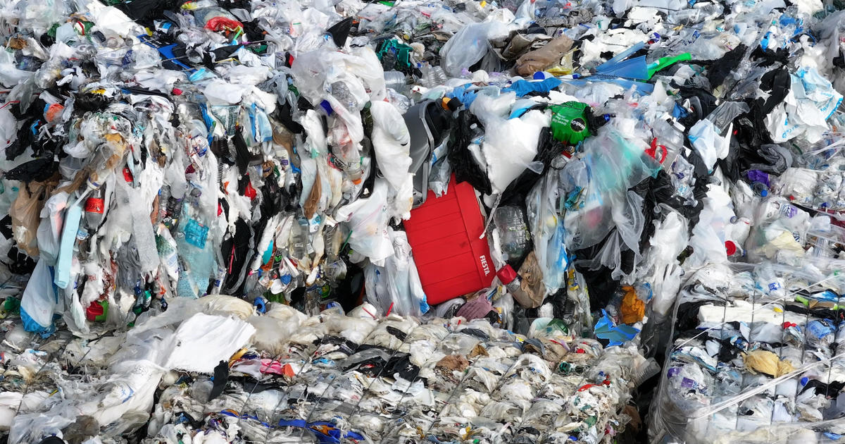 Houston’s Plastic Recycling Program: A Model or a Mirage?