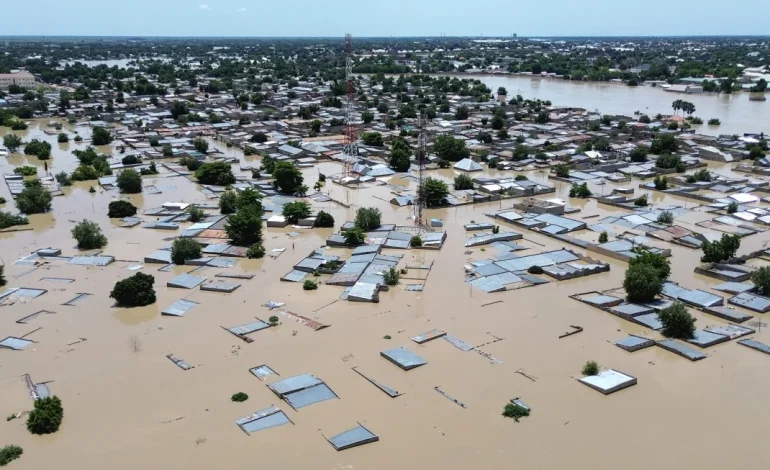 Flooding in Nigeria: Dam Overflow Engulfs Zoo, Unleashes Crocodiles, Snakes into Communities