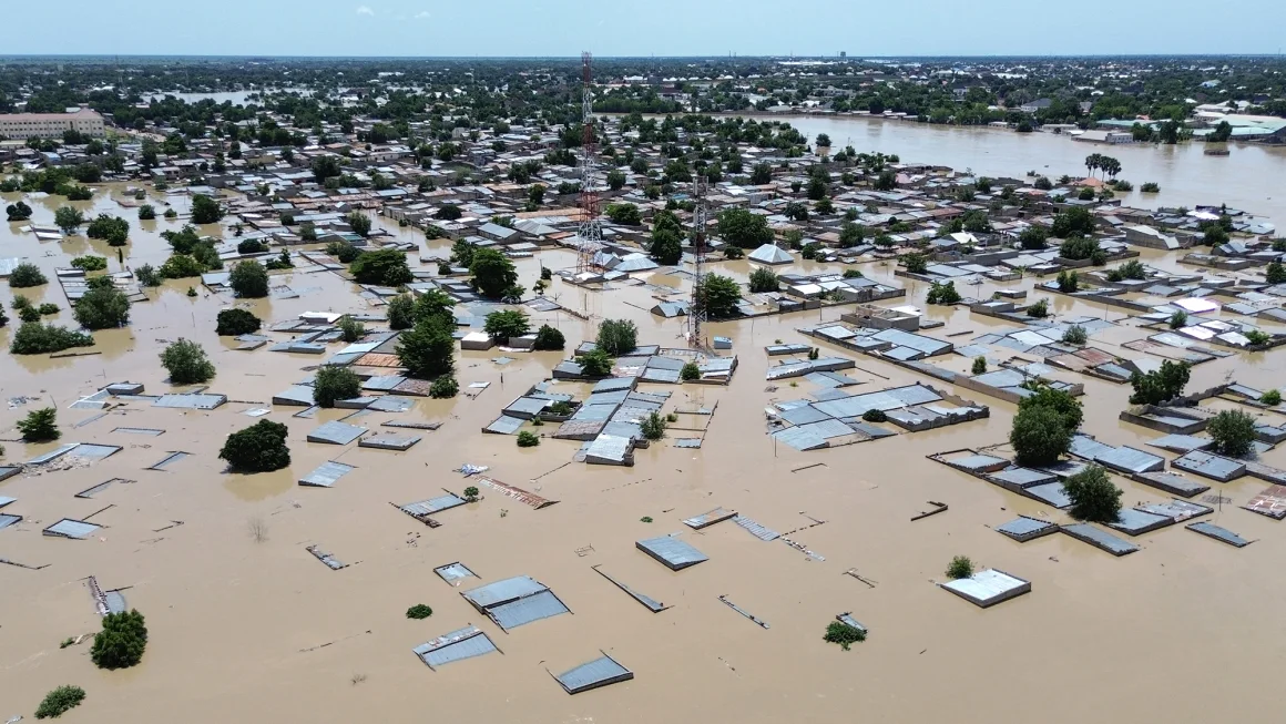 Flooding in Nigeria: Dam Overflow Engulfs Zoo, Unleashes Crocodiles, Snakes into Communities