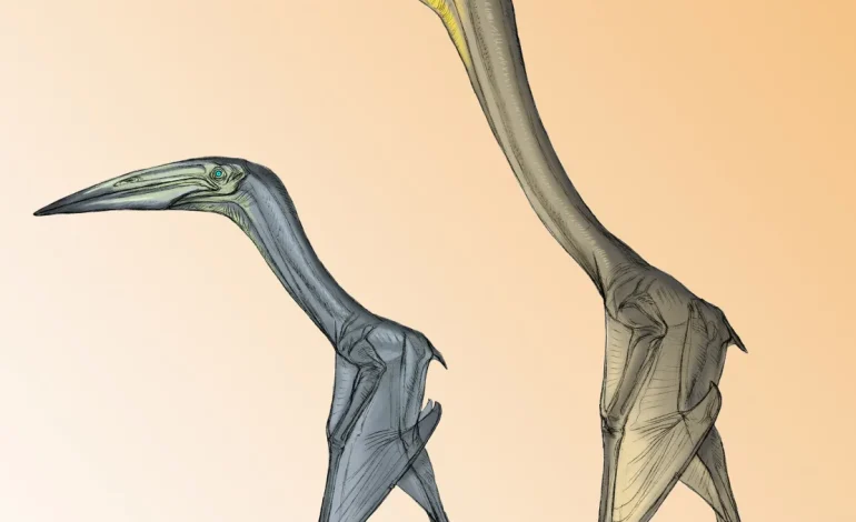 New Study Reveals Pterosaur Flight Secrets, Combining Flapping and Soaring for Efficiency