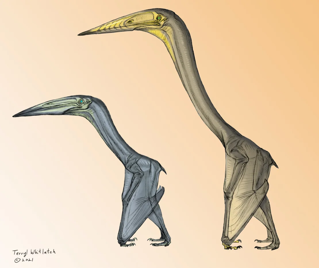 New Study Reveals Pterosaur Flight Secrets, Combining Flapping and Soaring for Efficiency