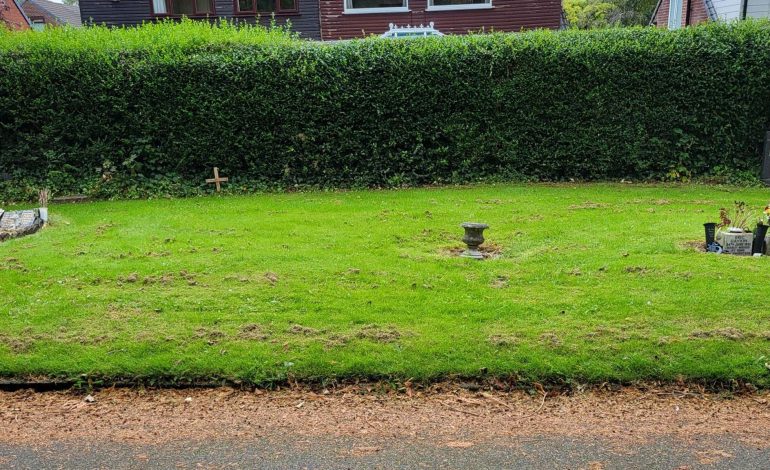 Hundreds of Unidentified Baby Bodies Found in England’s Oldham Mass Grave