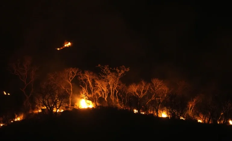 Brazil Faces Worst Drought in Decades as Wildfires Devastate Land and Amazon River Reaches Record Low