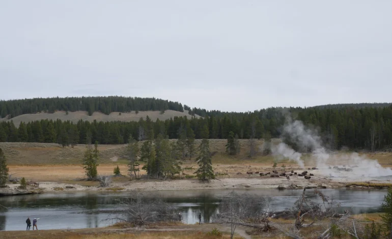 Woman Injured After Falling Into Scalding Water at Yellowstone National Park