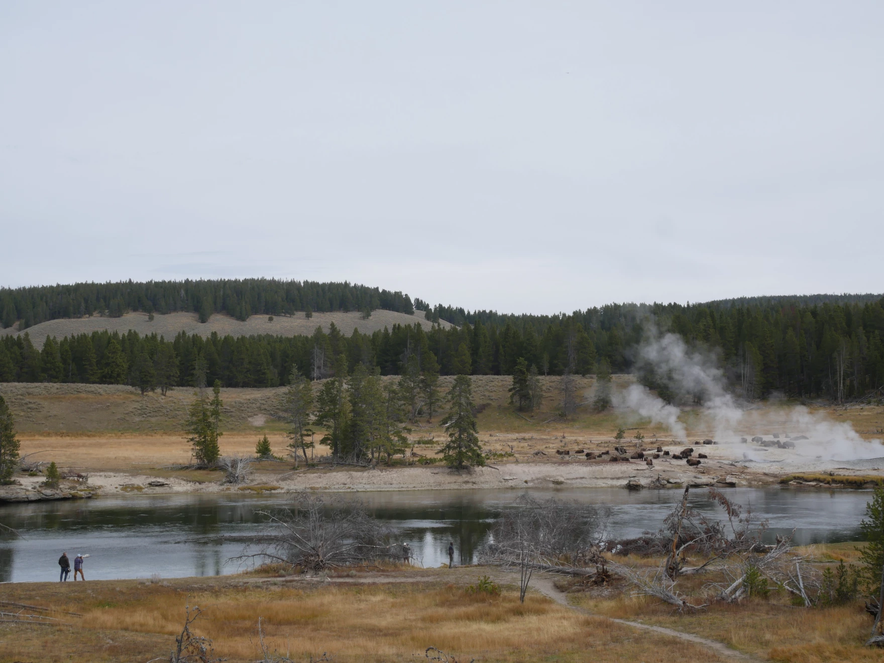 Woman Injured After Falling Into Scalding Water at Yellowstone National Park