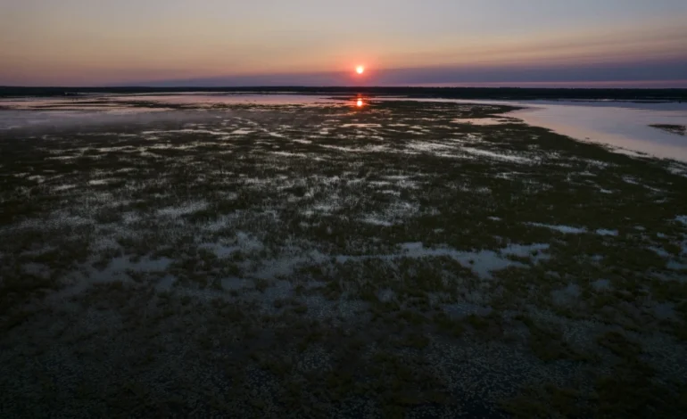 Ancient Remains Unearthed on Leech Lake During Wild Rice Harvest