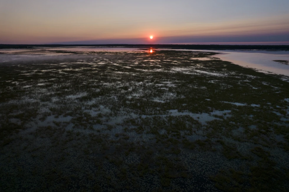 Ancient Remains Unearthed on Leech Lake During Wild Rice Harvest