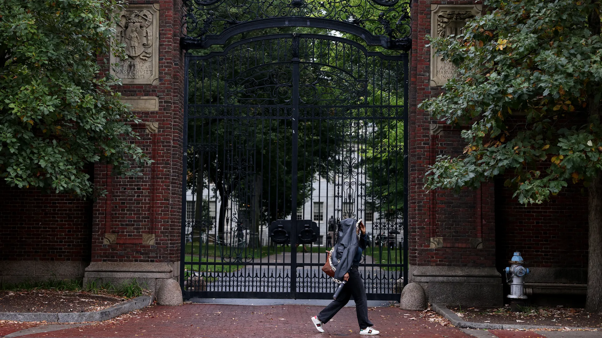 Harvard’s Budget Surplus Shrinks Amid Challenges, Endowment Cushions Impact