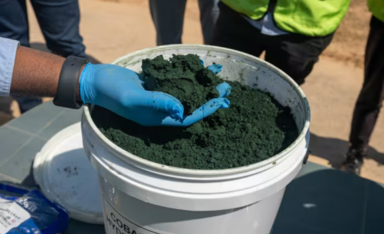 Chinese Mining Giant’s Control Over Cobalt Supply Sparks US Concerns