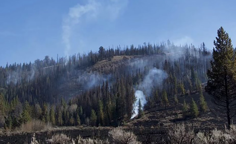 Wildfire Growth Stalls After Winter Storm, But Warmer Weather Looms