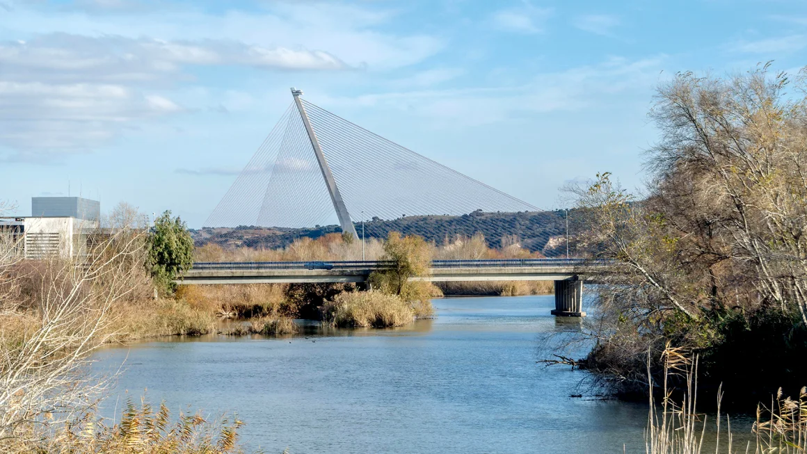 British Man Dies After Falling From Spain’s Tallest Bridge During Social Media Stunt