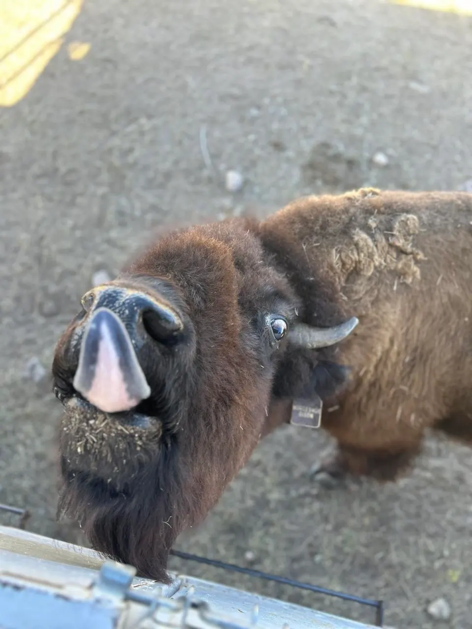 Exploring the Hidden Gems of Southeast Wyoming