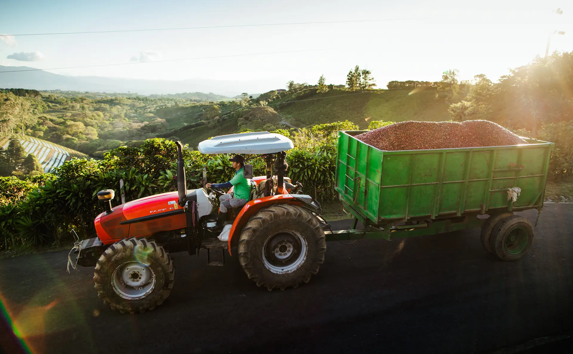 Starbucks Expands Climate-Resilient Coffee Research with New Innovation Farms in Central America