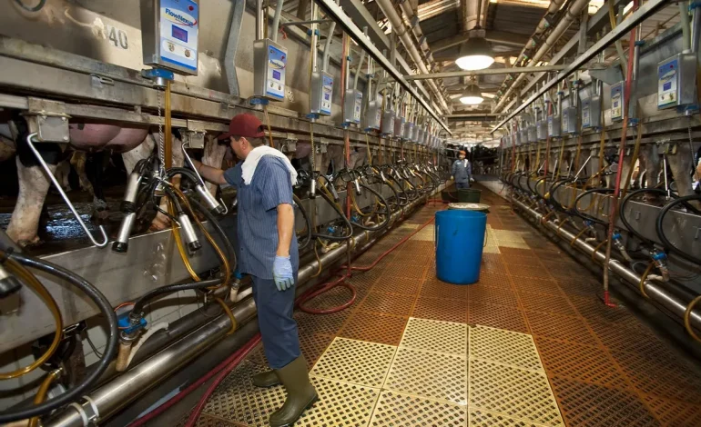 California Faces Rising Bird Flu Threat as Human Cases Increase