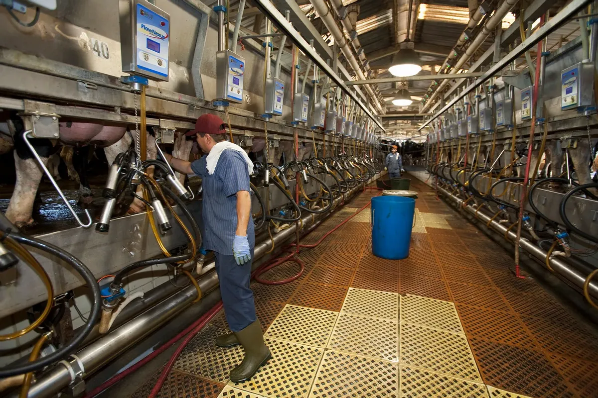 California Faces Rising Bird Flu Threat as Human Cases Increase
