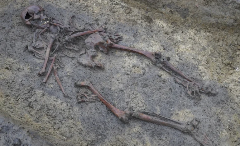 Viking Age Burial Ground Unearthed in Denmark Offers Glimpse into Past