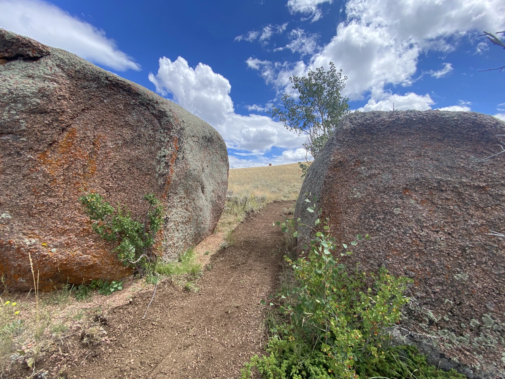 New Laramie Connector Trail Highlights Growing Interest in Outdoor Recreation