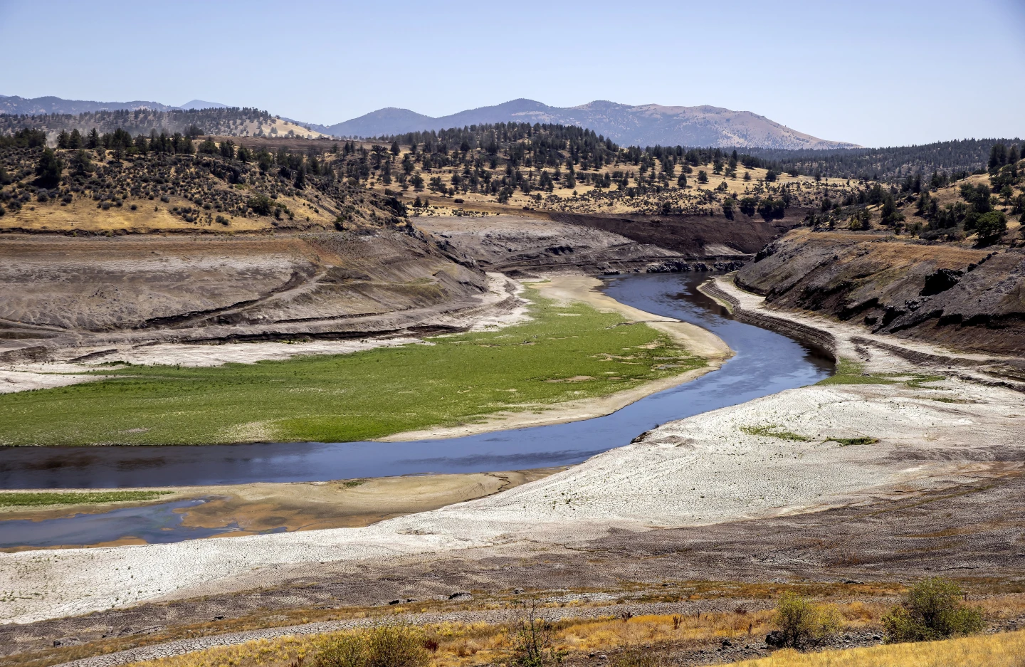 Salmon Return to Klamath River After Historic Dam Removal