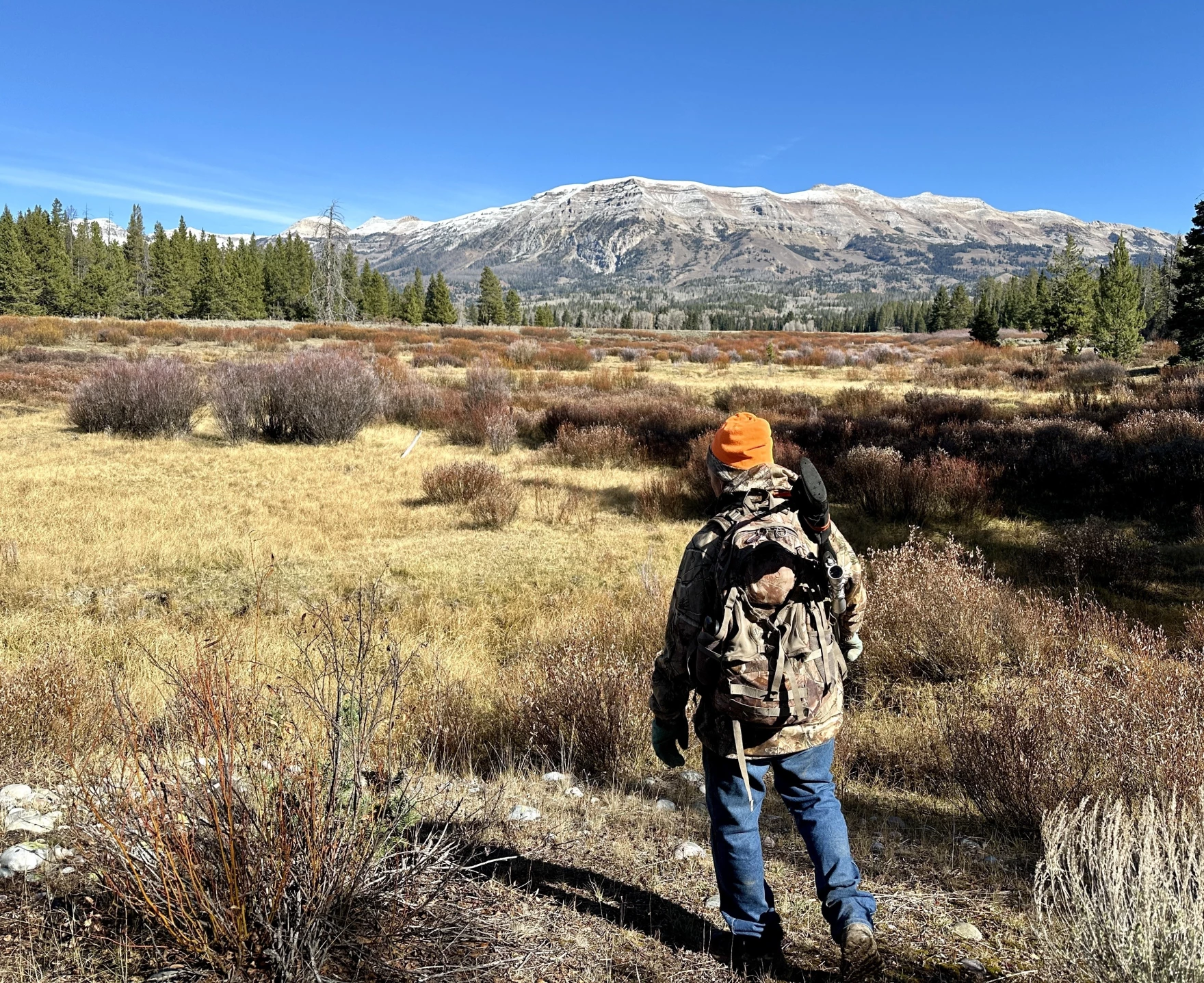 Warm Fall Pushes Wyoming Elk to Higher Elevations, Hunters Adjust Strategies