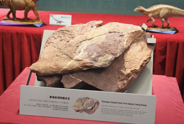 Dinosaur Fossils Found in Hong Kong for the First Time