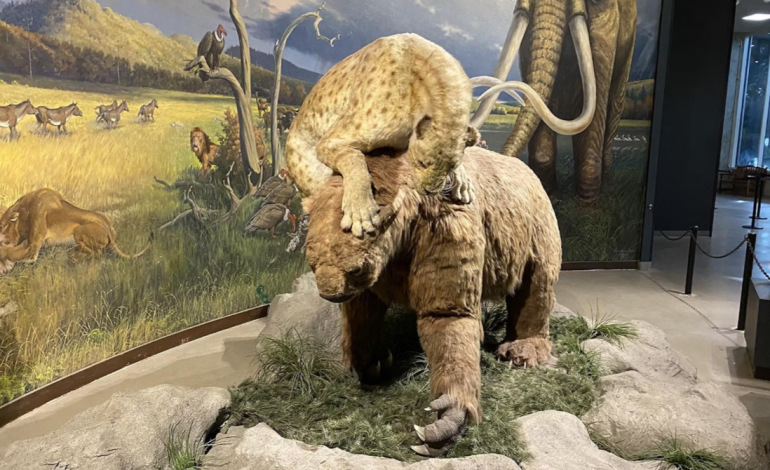 Wyoming’s Ice Age Cave Lacks Fossils of Ground Sloths and Saber-Toothed Cats