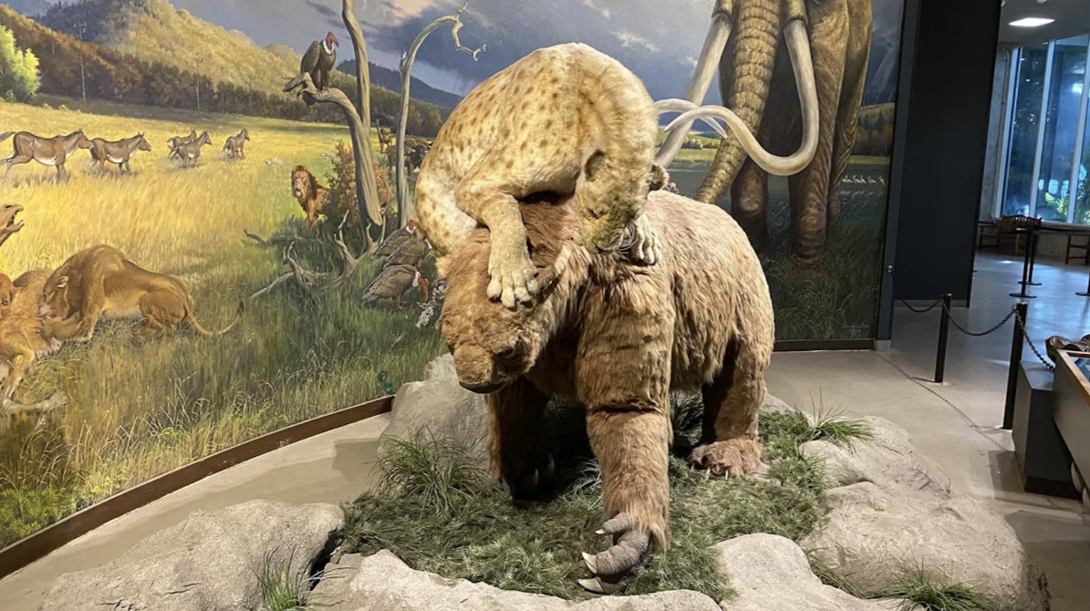 Wyoming’s Ice Age Cave Lacks Fossils of Ground Sloths and Saber-Toothed Cats