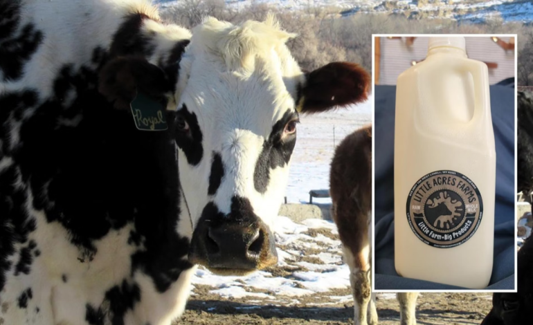 Raw Milk Legalization: Wyoming Leads the Way, National Debate Grows