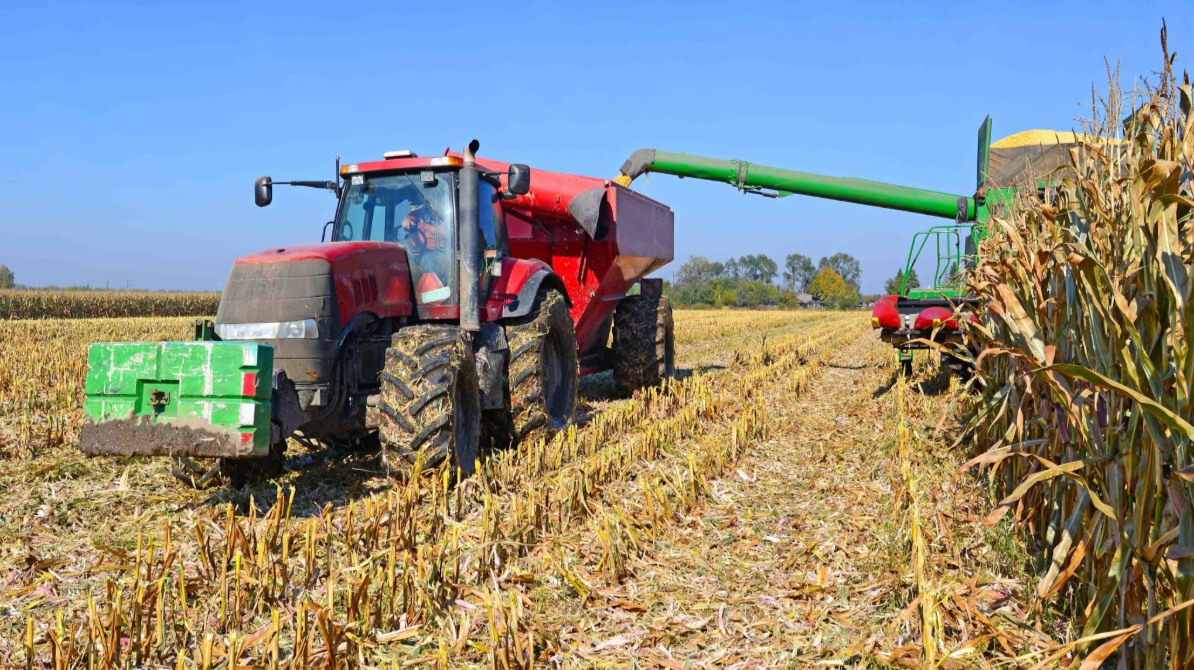 Impacts of Farm Bill Delay on Wyoming Agriculture