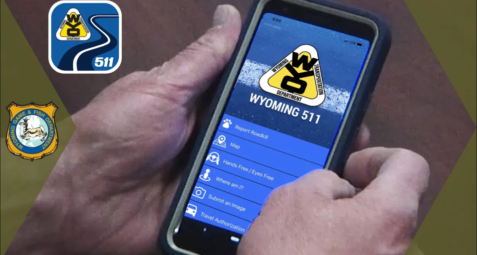 Wyoming Game and Fish Department Reminds Public: Roadkill Collection Requires Authorization