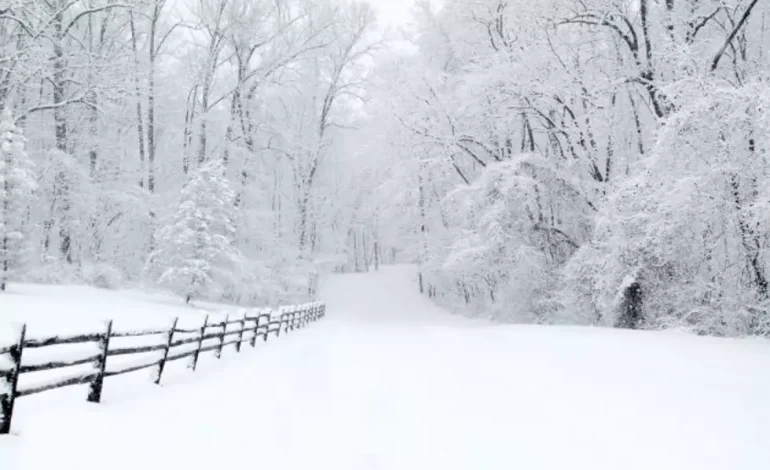 Heavy Snow Predicted for Southeast Wyoming Mountains Amid Winter Storm Watch