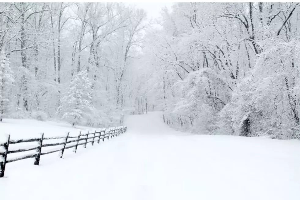 Heavy Snow Predicted for Southeast Wyoming Mountains Amid Winter Storm Watch