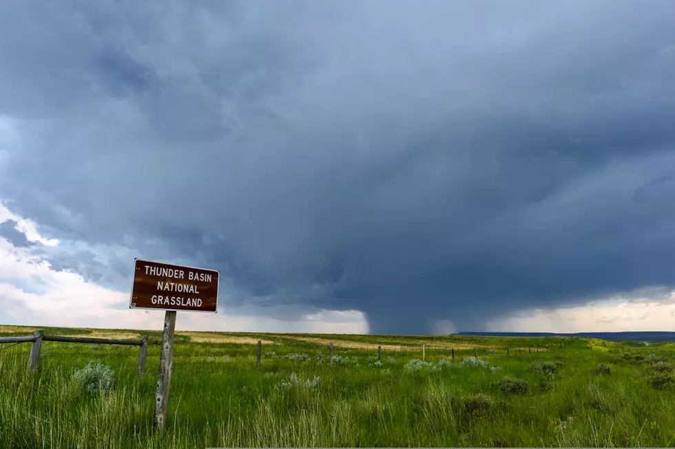 Bass Pro Shops, Cabela’s Grant $250K to Support Mule Deer Foundation’s Conservation Efforts