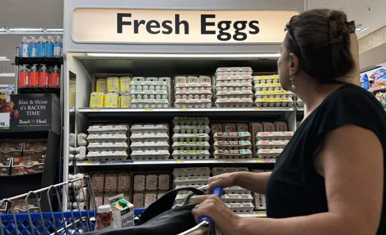 Egg Prices Climb Amid Avian Flu Outbreak and Holiday Demand