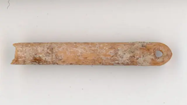 Ancient Bone Needles Unearthed in Wyoming Shed Light on Early Clothing Production