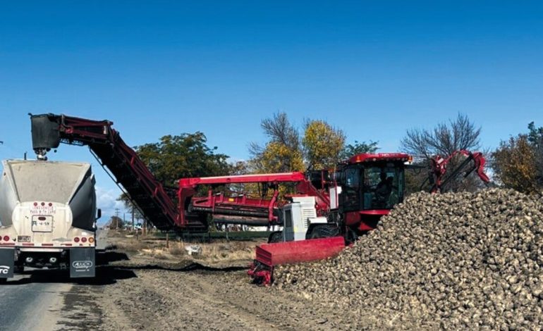 Record Sugar Beet Harvest for Wyoming Sugar in Washakie County