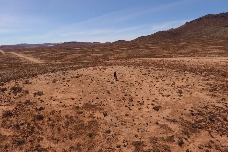 Ancient Termite Mounds Reveal Secrets of Namaqualand’s Salty Groundwater and Carbon Storage