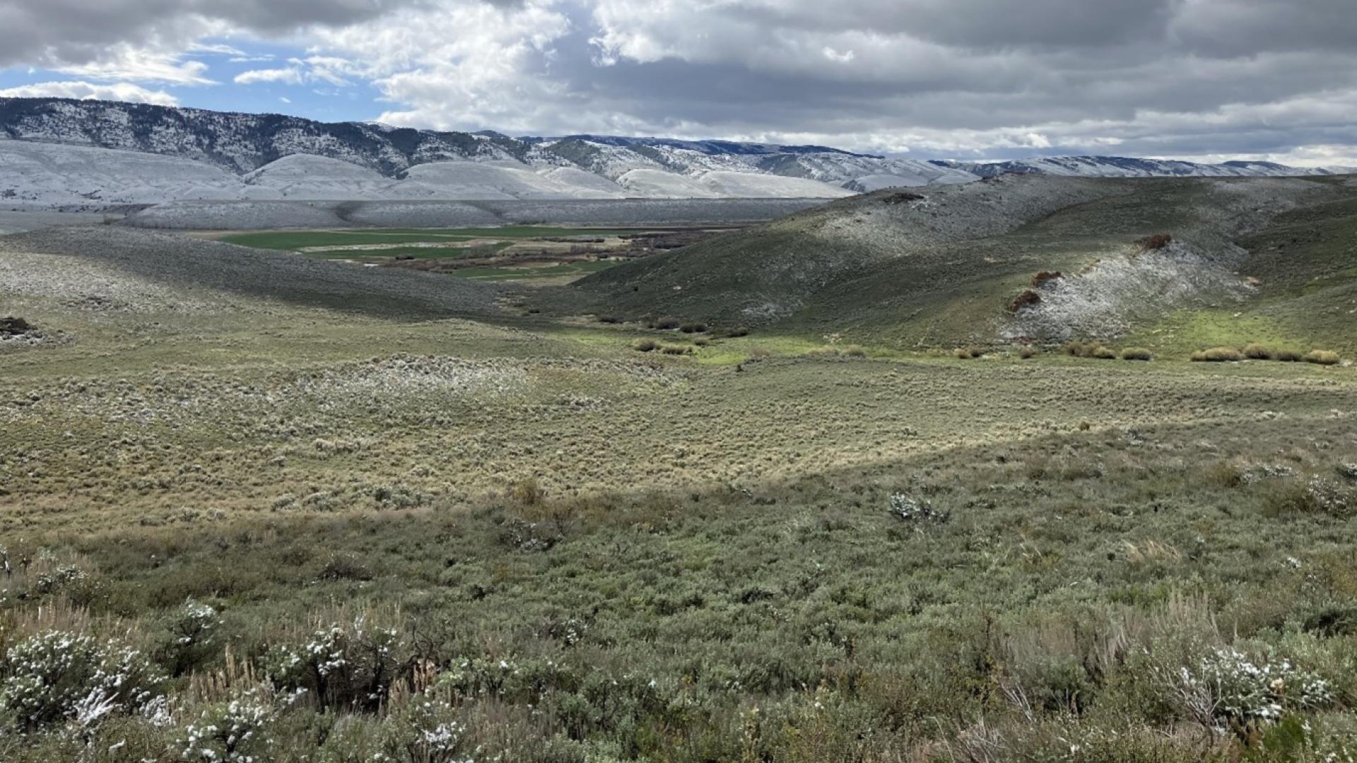 Bipartisan Infrastructure Law and Inflation Reduction Act Support Sagebrush Conservation Efforts in the West