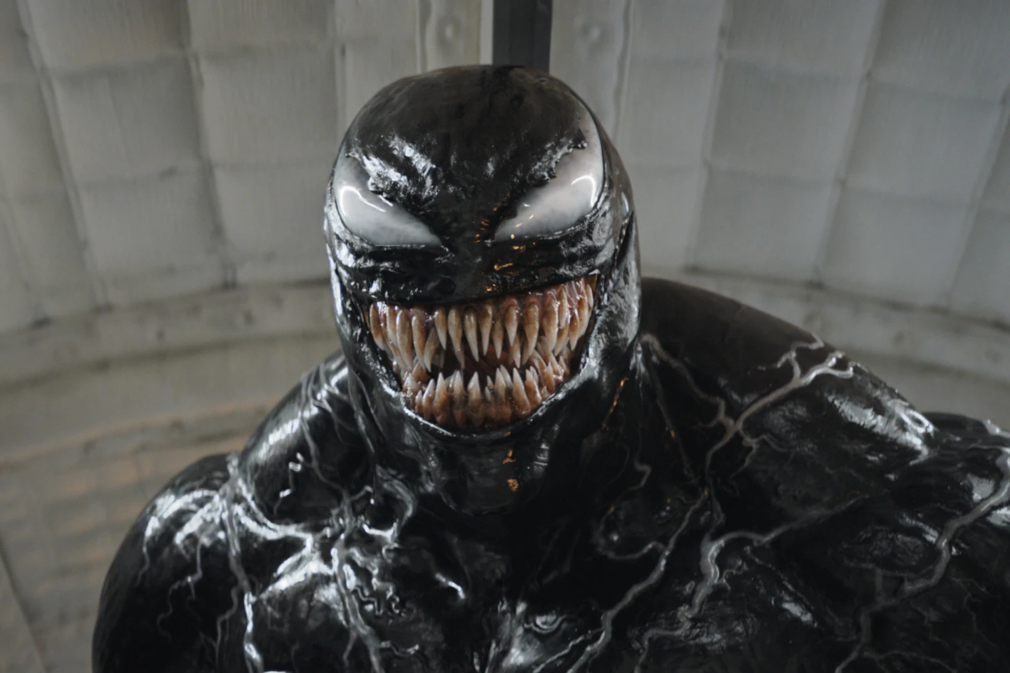 “Venom: The Last Dance” Stays Atop Box Office as Election Weekend Brings Quiet to Theaters