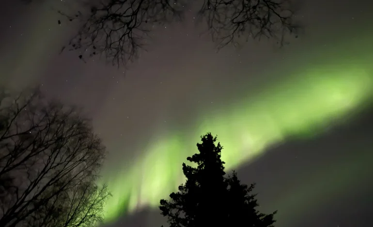 Thanksgiving Sky Show? Faint Auroras Possible Across Northern US